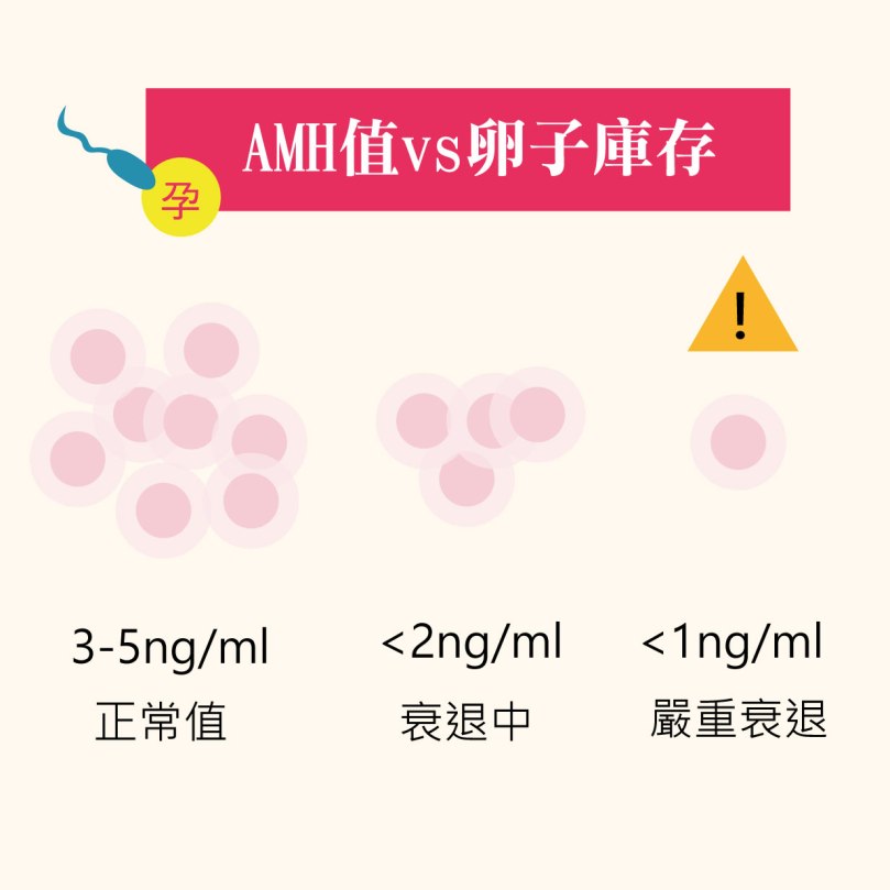 AMH低卵巢早衰-02